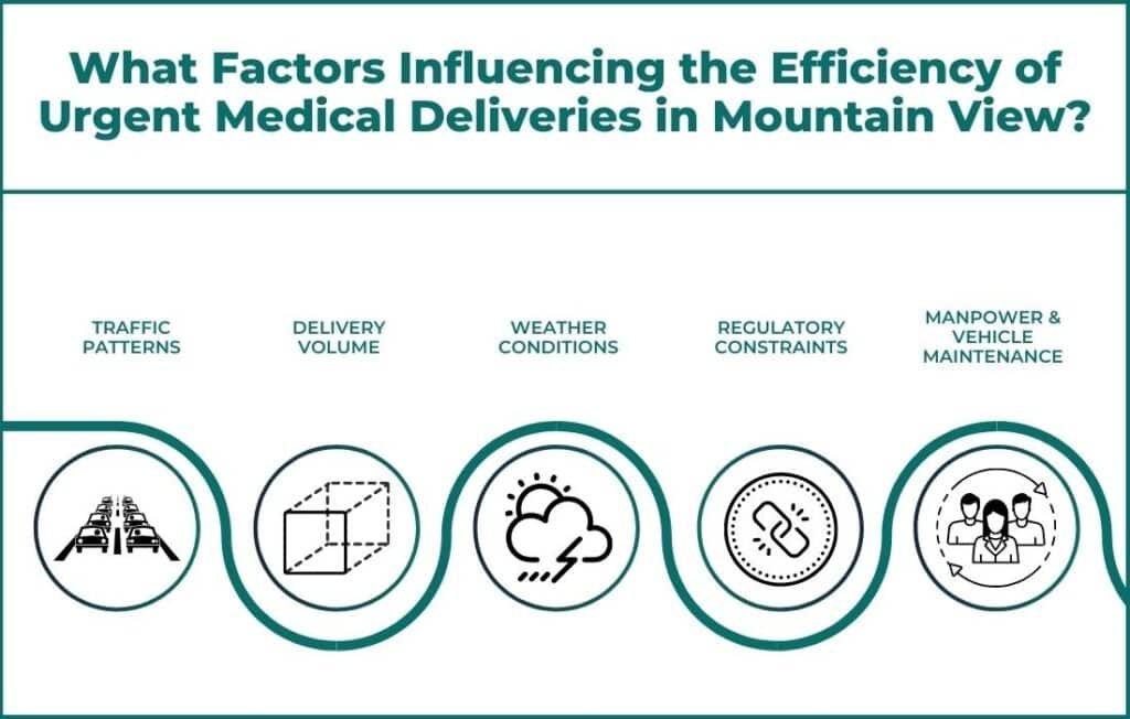 Factors Influencing the Efficiency of Urgent Medical Deliveries in Mountain View