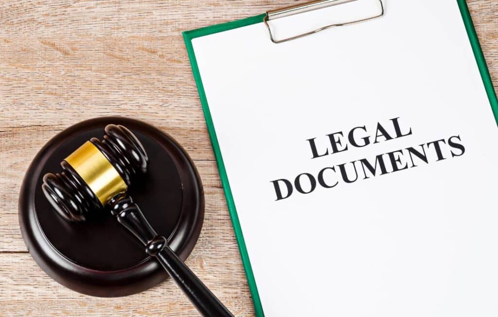 Speed and Efficiency_ Get Your Legal Documents Served Faster