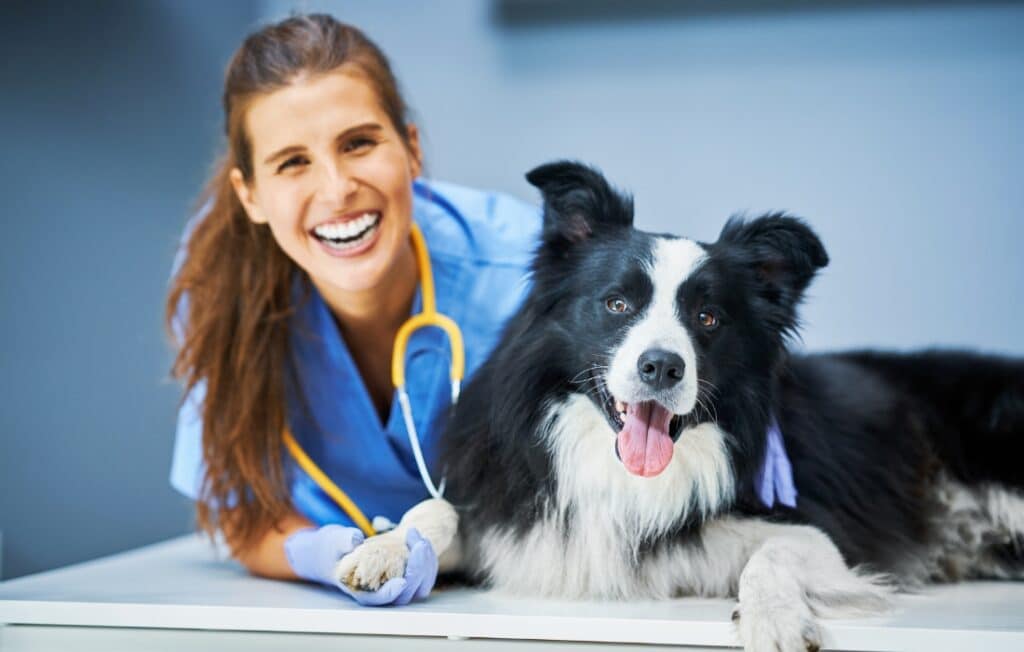 Veterinary Clinics_ Not Just for Human Healthcare